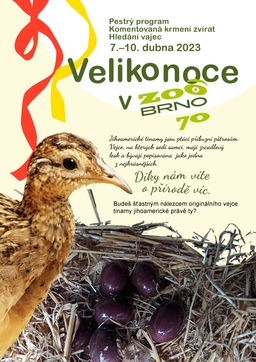 Velikonoce v Zoo Brno se blíží!